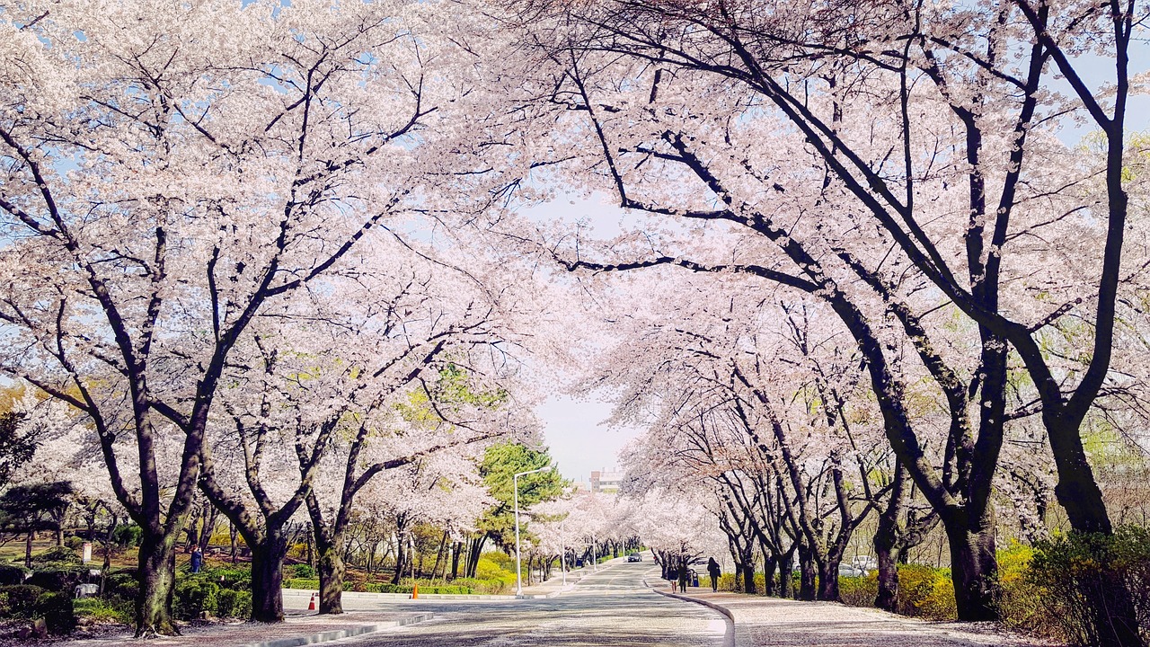 파인드잡 대구