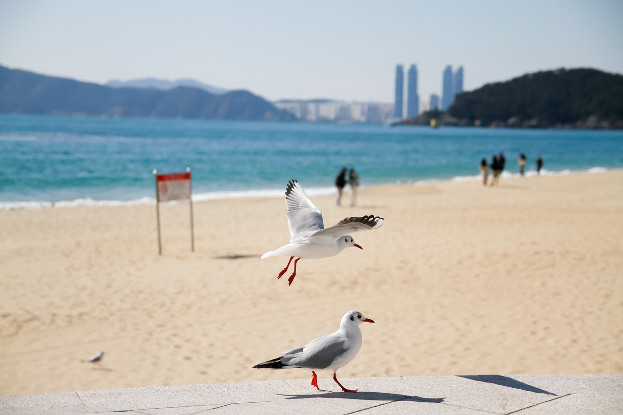 부산 일광택지