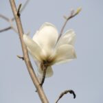 나주 혁신도시 예가람의 매력 알아보자