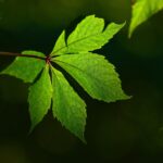뉴트리라이트 제품 효과적인 활용 방법 알아보자