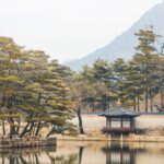 대한민국 법원 시험 준비를 위한 5가지 꿀팁